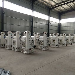 庆云筛选设备厂 小麦精选机批发 双层粮食筛选去石机